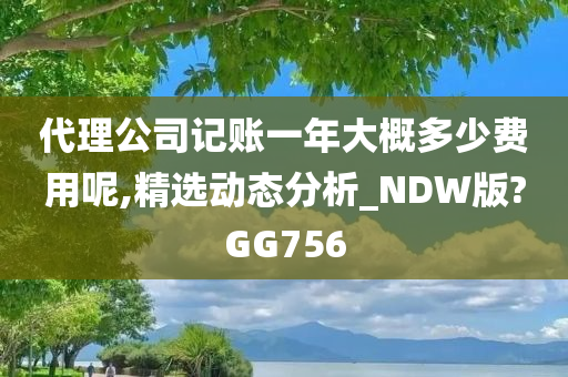 代理公司记账一年大概多少费用呢,精选动态分析_NDW版?GG756