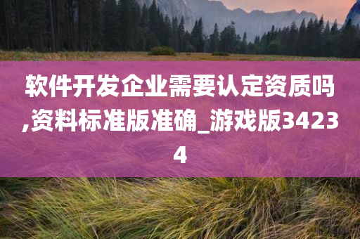 软件开发企业需要认定资质吗,资料标准版准确_游戏版34234