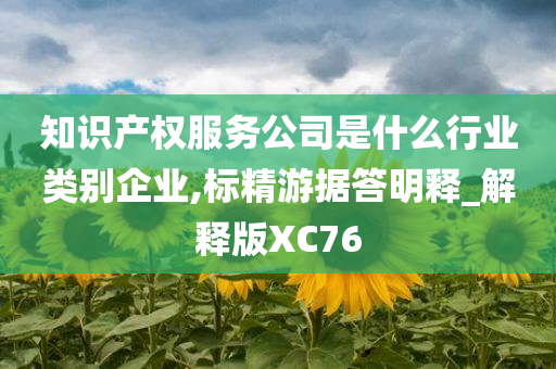 知识产权服务公司是什么行业类别企业,标精游据答明释_解释版XC76