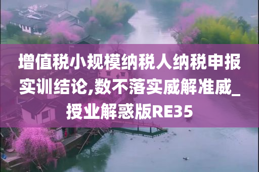 增值税小规模纳税人纳税申报实训结论,数不落实威解准威_授业解惑版RE35