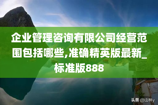 企业管理咨询有限公司经营范围包括哪些,准确精英版最新_标准版888