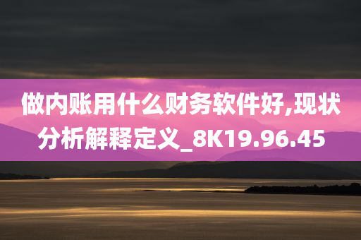 做内账用什么财务软件好,现状分析解释定义_8K19.96.45