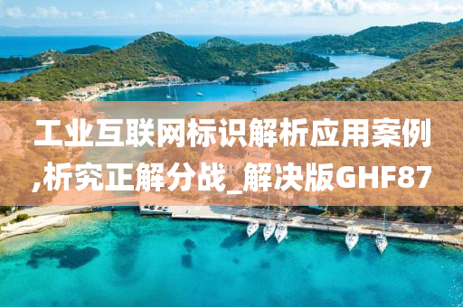 工业互联网标识解析应用案例,析究正解分战_解决版GHF87