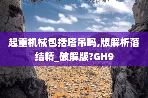 起重机械包括塔吊吗,版解析落结精_破解版?GH9