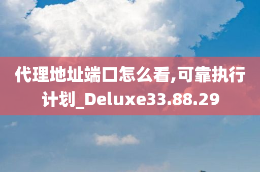 代理地址端口怎么看,可靠执行计划_Deluxe33.88.29