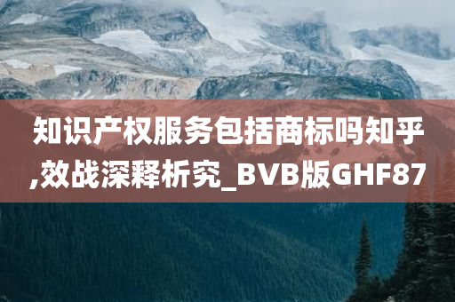 知识产权服务包括商标吗知乎,效战深释析究_BVB版GHF87