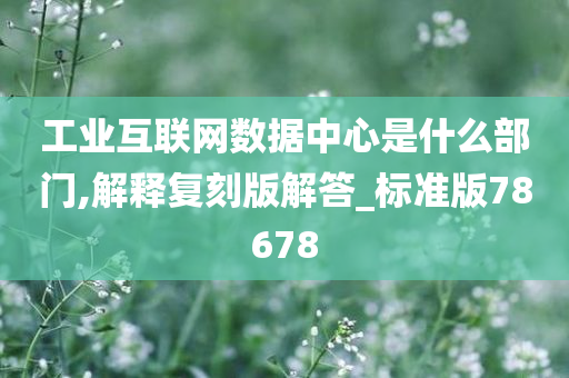 工业互联网数据中心是什么部门,解释复刻版解答_标准版78678