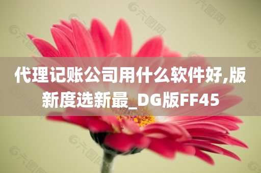 代理记账公司用什么软件好,版新度选新最_DG版FF45