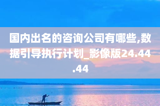 国内出名的咨询公司有哪些,数据引导执行计划_影像版24.44.44