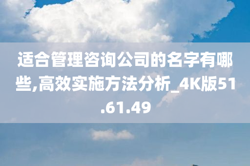 适合管理咨询公司的名字有哪些,高效实施方法分析_4K版51.61.49