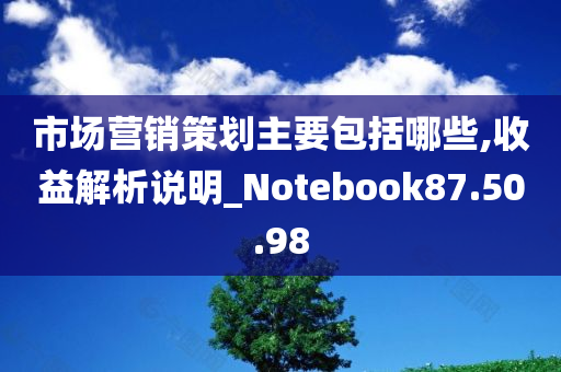 市场营销策划主要包括哪些,收益解析说明_Notebook87.50.98