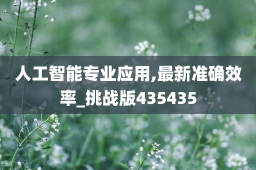 人工智能专业应用,最新准确效率_挑战版435435