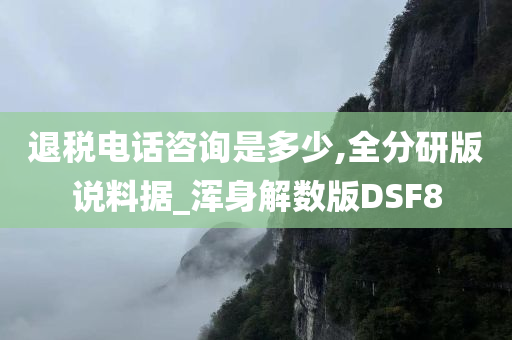 退税电话咨询是多少,全分研版说料据_浑身解数版DSF8