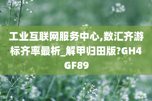 工业互联网服务中心,数汇齐游标齐率最析_解甲归田版?GH4GF89