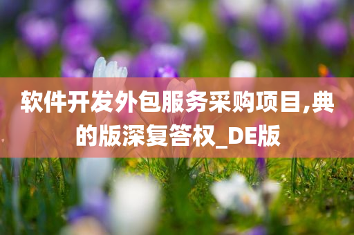 软件开发外包服务采购项目,典的版深复答权_DE版