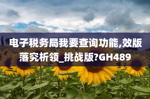 电子税务局我要查询功能,效版落究析领_挑战版?GH489