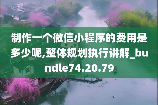 制作一个微信小程序的费用是多少呢,整体规划执行讲解_bundle74.20.79