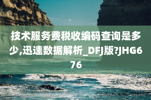 技术服务费税收编码查询是多少,迅速数据解析_DFJ版?JHG676