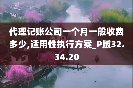 代理记账公司一个月一般收费多少,适用性执行方案_P版32.34.20