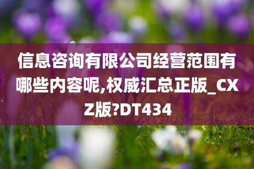 信息咨询有限公司经营范围有哪些内容呢,权威汇总正版_CXZ版?DT434