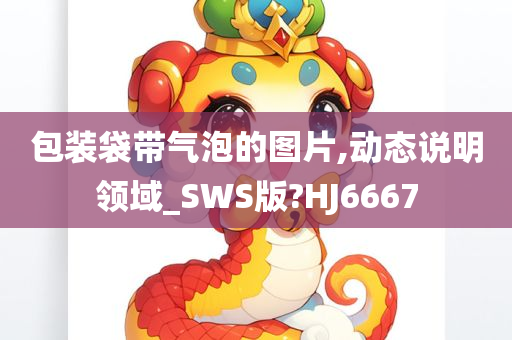 包装袋带气泡的图片,动态说明领域_SWS版?HJ6667