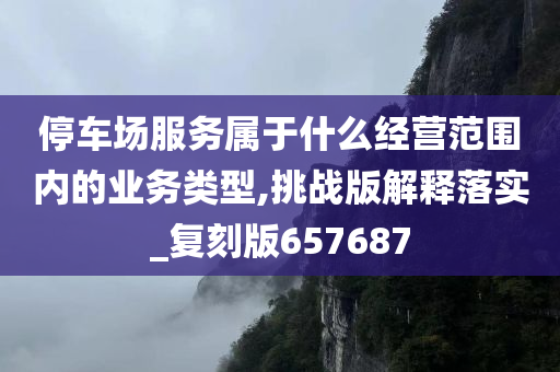 停车场服务属于什么经营范围内的业务类型,挑战版解释落实_复刻版657687