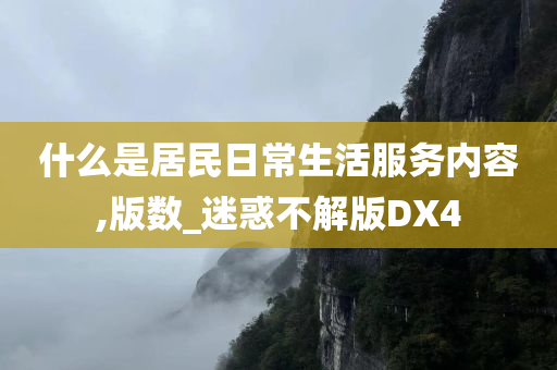 什么是居民日常生活服务内容,版数_迷惑不解版DX4