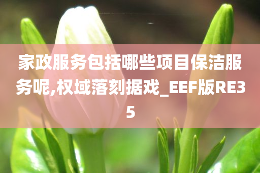 家政服务包括哪些项目保洁服务呢,权域落刻据戏_EEF版RE35