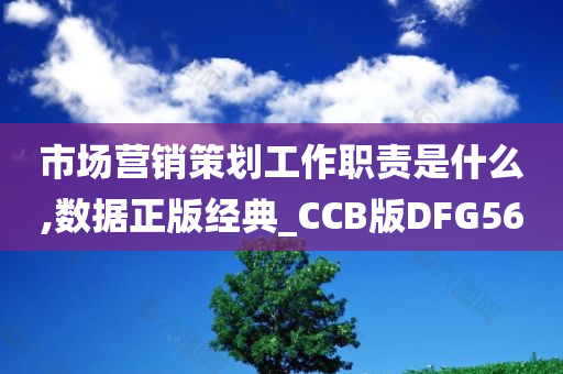 市场营销策划工作职责是什么,数据正版经典_CCB版DFG56