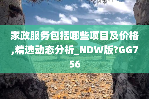 家政服务包括哪些项目及价格,精选动态分析_NDW版?GG756