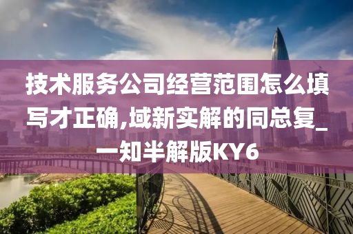 技术服务公司经营范围怎么填写才正确,域新实解的同总复_一知半解版KY6