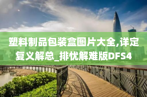 塑料制品包装盒图片大全,详定复义解总_排忧解难版DFS4